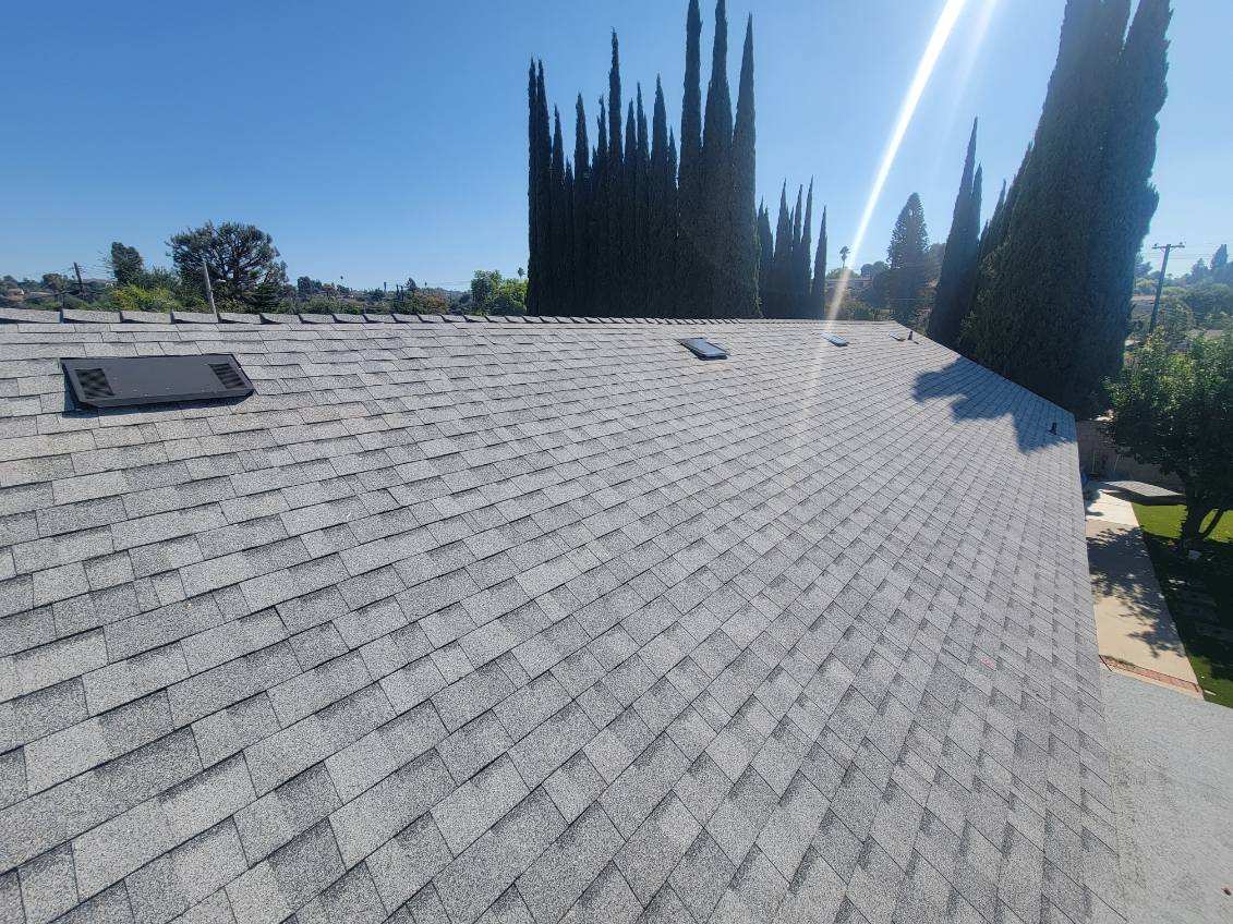 Full shingle replacement, Colonial Heights
